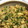 dsk122's cooksnap of when they made ご飯のおとも☆大根の葉と薄揚げの炒めたん.