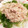 きくちはるこ's cooksnap of when they made えのきと水菜のごまマヨサラダ.