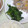 なっぴこり's cooksnap of when they made めちゃ簡単！ほうれん草のナムル*･゜ﾟ･.