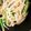 クックQ1UMSY☆'s cooksnap of when they made サクッと混ぜて！もやしナムル.