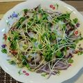 ふわふわまん's cooksnap of when they made タコの和風カルパッチョ.