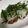 まーち15's cooksnap of when they made 食べ応えのある鶏ハンバーグ.