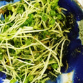 ｽｶｲﾌｨｯｼｭ☆'s cooksnap of when they made かいわれと韓国海苔のナムル.