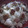 モモコン's cooksnap of when they made 土用”ウナギのちらし寿司”をさっぱりと.