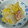 Mαru☆'s cooksnap of when they made 簡単☆ごま油香る白菜とベーコンの炒め物.