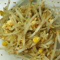 クックLWTF8L☆'s cooksnap of when they made あと一品！の卵もやしナムル.