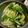 ウッピィ's cooksnap of when they made 簡単☆セロリのW胡麻和え.