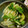 ウッピィ's cooksnap of when they made 簡単☆セロリのW胡麻和え.
