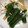 かよばぁ's cooksnap of when they made ★　ねぎのしそ巻き　★.