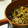 Cookingmam's cooksnap of when they made れんこんとニンニクのアヒージョ風炒め♪.