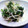 mikoママ's cooksnap of when they made お手軽☆春菊ともやしのカルシウム和え.