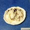 ウメ吉さん's cooksnap of when they made サラダ感覚♪かぶの即席漬け.