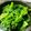 ladyamo's cooksnap of when they made 菜の花の辛子和え.