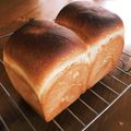 kotoemonjp's cooksnap of when they made ミルク食パン（HBで一次発酵まで).