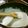 ウッシー母's cooksnap of when they made 失敗なし！ダマなし！簡単ホワイトソース☆.