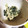 やっすん⋈'s cooksnap of when they made 鉄分たっぷり！レンジでほうれん草の白和え.
