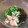 ぞつとぞつ美's cooksnap of when they made 簡単一品♡エビともずくとキュウリの酢の物.