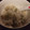 イントラたっきー's cooksnap of when they made 離乳食後期　牡蠣のだしおかゆ.