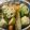 低カロ探検隊's cooksnap of when they made フライパンで簡単✾筑前煮（煮しめ）.