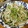 低カロ探検隊's cooksnap of when they made 焼き麩で美味しい☆節約もやしのゴマ和え.