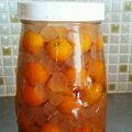 しゅなこず's cooksnap of when they made オンナノコの はちみつ金柑酒.