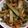 母‼︎修行中☆彡's cooksnap of when they made 簡単☆きんぴらごぼう.
