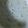 クックOYTSP1☆'s cooksnap of when they made ★とろとろ！ブロッコリーチーズスープ★.
