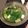 やまちゃん♡'s cooksnap of when they made ねぎま鍋♪簡単まぐろ煮る鍋.