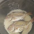 イチゴ、イチゴ。's cooksnap of when they made 我が家の鯛めし❤.