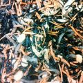 まっプン丸's cooksnap of when they made ひじきの五目煮☆冷凍枝豆入り.