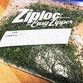 hirose3939's cooksnap of when they made ずぼら系★刻まないパセリのみじん切り.
