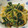 しはな's cooksnap of when they made ほうれん草ともやしのナムル.