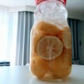 ＹＯＰＭＡＭＡ's cooksnap of when they made 無農薬柚子☆の丸ごと果実酒.