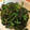 パパパパーチー's cooksnap of when they made ほうれん草の胡麻和え.