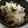 ゆ→き©'s cooksnap of when they made 切り干し大根とワカメのポン酢和え.