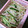 chaーki's cooksnap of when they made もやし*ささみ*きゅうりピリ辛和え.