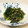 よっち☆♪'s cooksnap of when they made ほうれん草のごま和え.