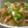 にゃぁくん's cooksnap of when they made 豚のしょうが焼丼目玉焼き乗っけ♡.