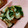 いしまいﾁｬﾝ's cooksnap of when they made ★＾０＾★ちくわのねぎ炒め♪弁当に♪.
