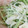 まるりゅう's cooksnap of when they made 水菜と大根とちくわのサラダ★生姜風味★.