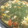 すずたま＠'s cooksnap of when they made ほうれん草とトマトのパエリア.