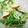 ☆ｷｬｻﾘﾝ☆'s cooksnap of when they made 水菜とレンコンと林檎のサラダ.