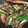 nexus2060's cooksnap of when they made こってり♪なすとオクラの肉味噌炒め.