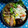 えまっちママ's cooksnap of when they made ヘルシー★もやしときのこの生姜炒め.