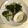 クック6W99WR☆'s cooksnap of when they made 簡単# カブとブロッコリーのホットサラダ.