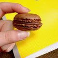 25t's cooksnap of when they made 作りやすい分量でマカロン.