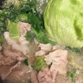 節約・ダイエット母's cooksnap of when they made レタスとお肉のみぞれ鍋.