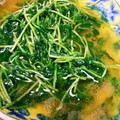 ゆぅーぽ's cooksnap of when they made 安価でスピーディ◎豆苗のにんにく炒め.