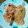 こたせママ's cooksnap of when they made 手軽☆豚とタマネギの生姜焼き.