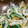 kokakokko's cooksnap of when they made もやしとちくわのサラダ.
